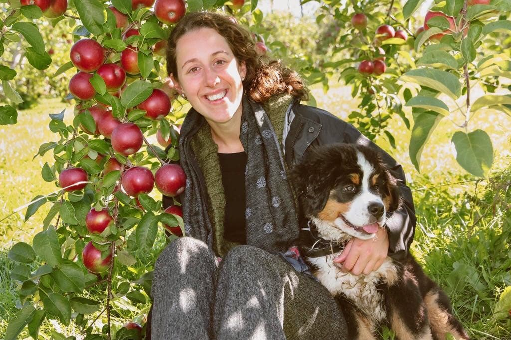 Jeune femme souriante assise sous un pommier chargé de pommes rouges avec un chien Bernois à ses côtés dans un verger ensoleillé